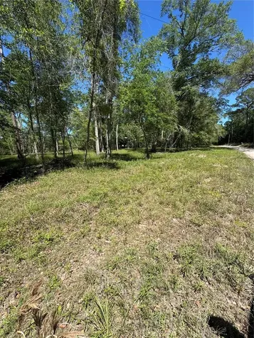Tbd SW 25 Place Bell FL 32619