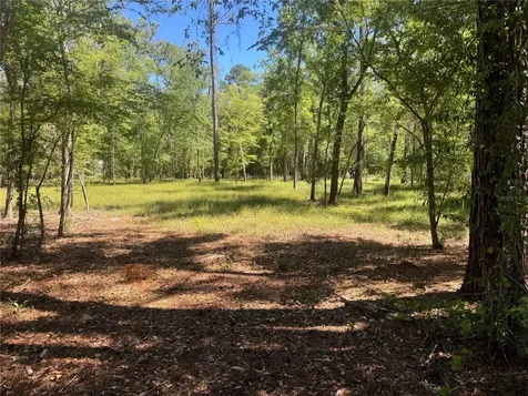 Tbd SW 25 Place Bell FL 32619