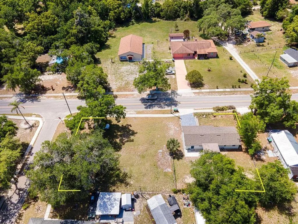 1133 Hermit Smith Road Apopka FL 32712