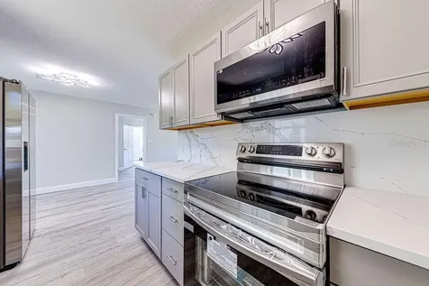 1133 Hermit Smith Road Apopka FL 32712