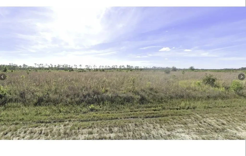 Calliandra Drive Indian Lake Estates FL 33855