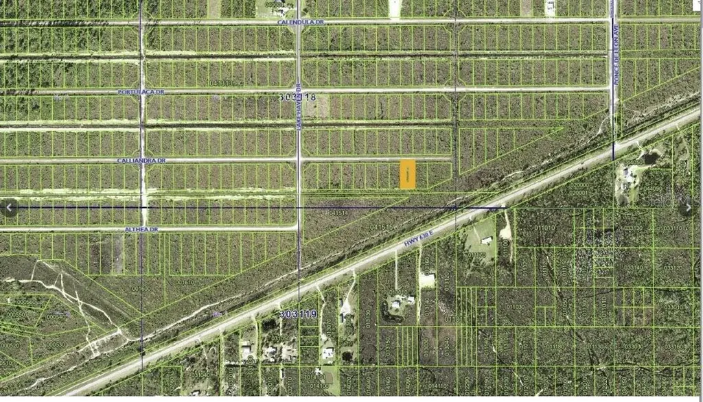 Calliandra Drive Indian Lake Estates FL 33855