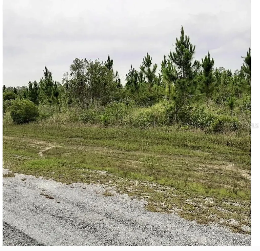 Calliandra Drive Indian Lake Estates FL 33855