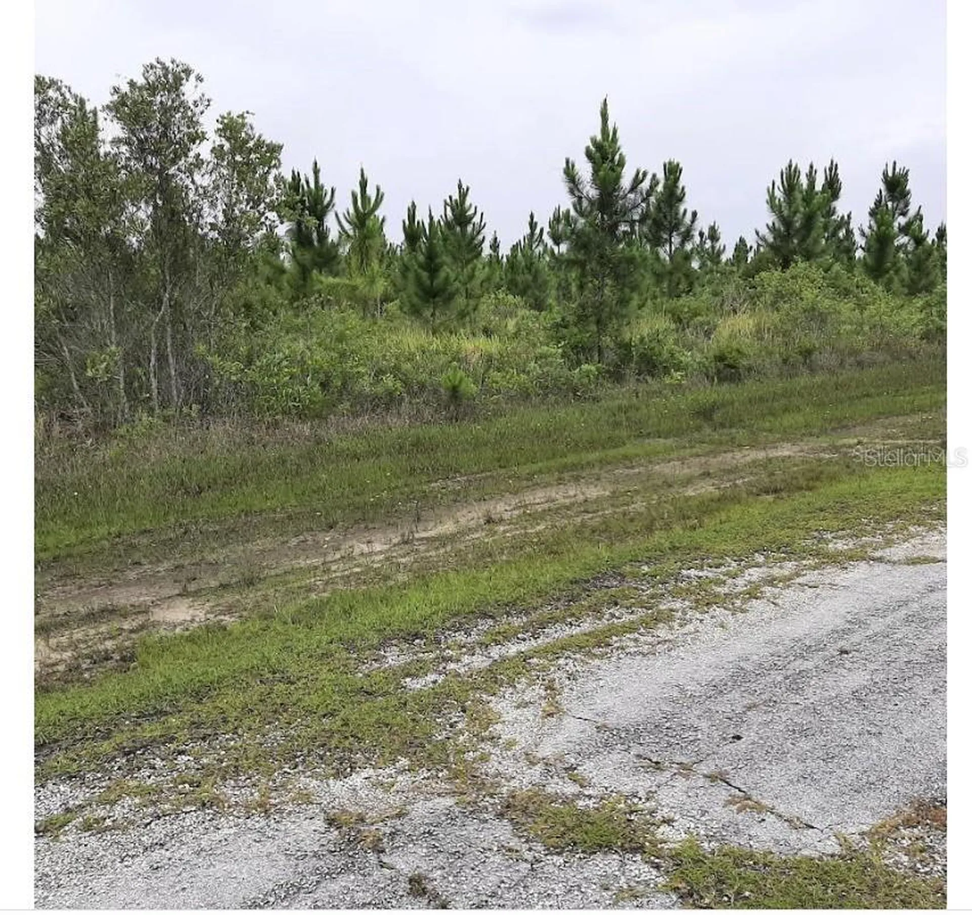 Calliandra Drive Indian Lake Estates FL 33855