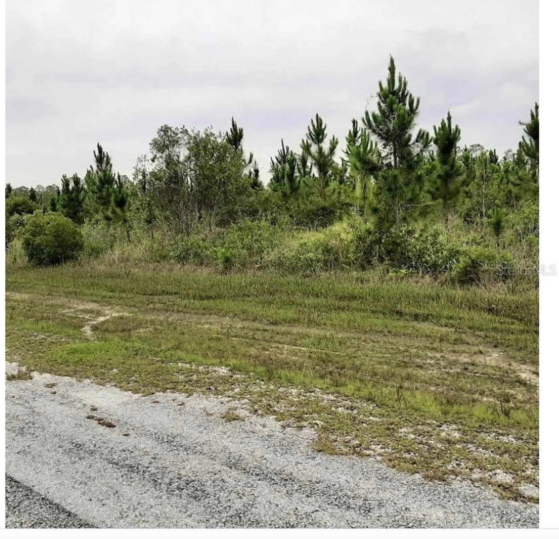 Calliandra Drive Indian Lake Estates FL 33855