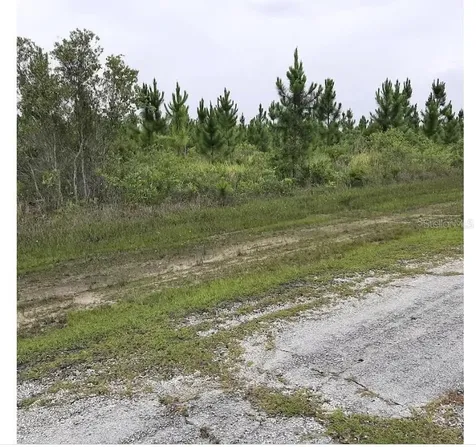 Calliandra Drive Indian Lake Estates FL 33855