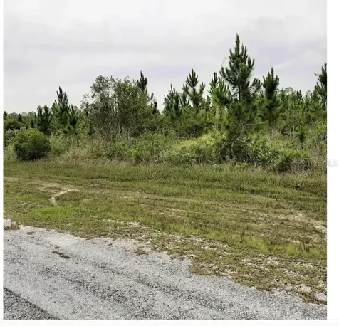 Calliandra Drive Indian Lake Estates FL 33855