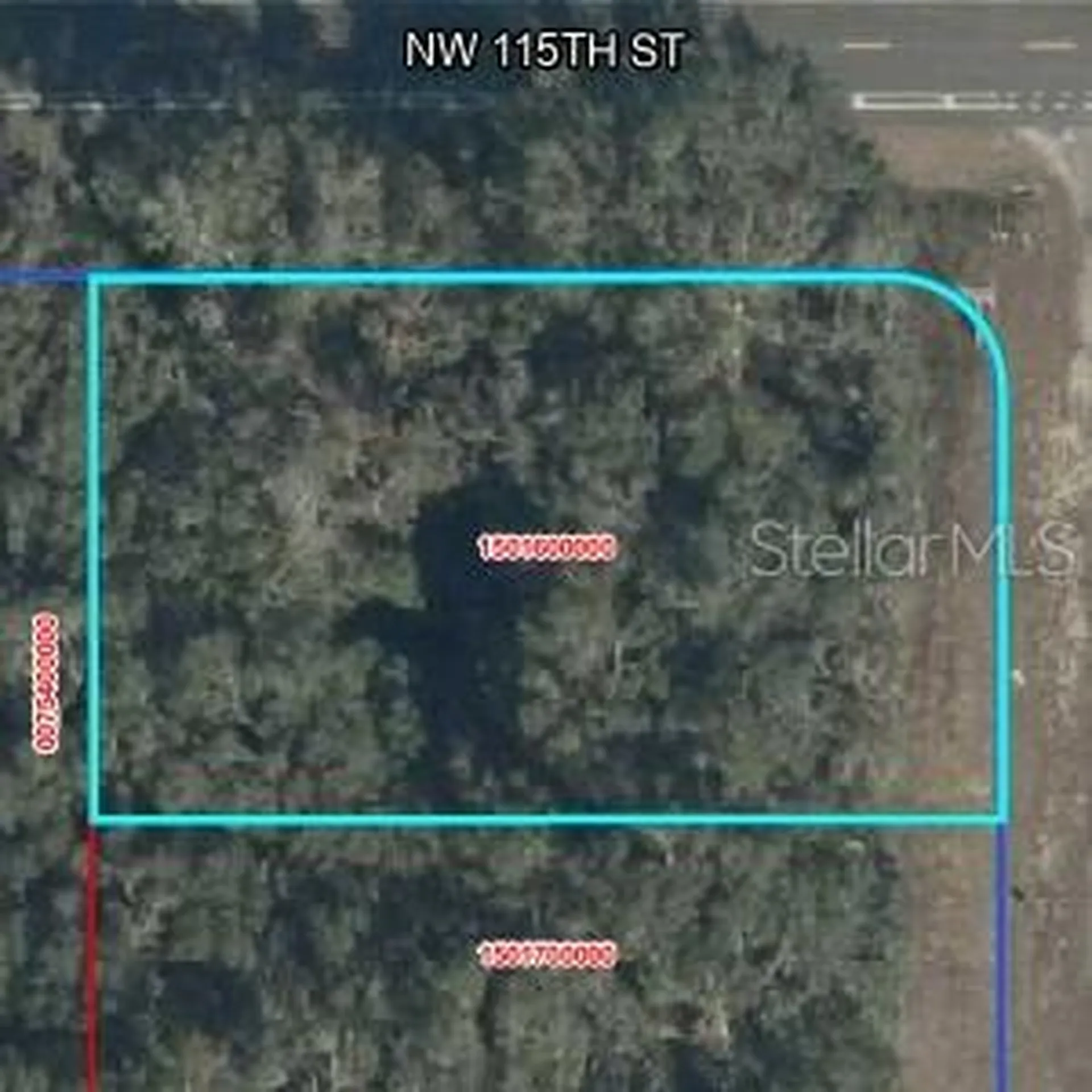 NW 100 Avenue Williston FL 32626