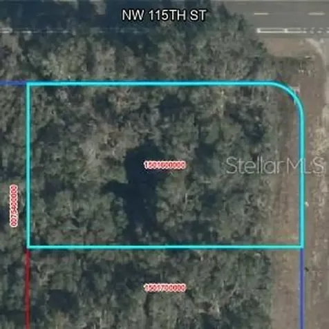 NW 100 Avenue Williston FL 32626