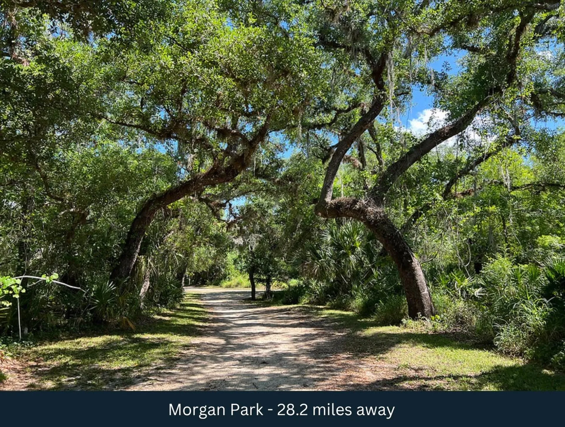 N Barlow Road Wauchula FL 33873