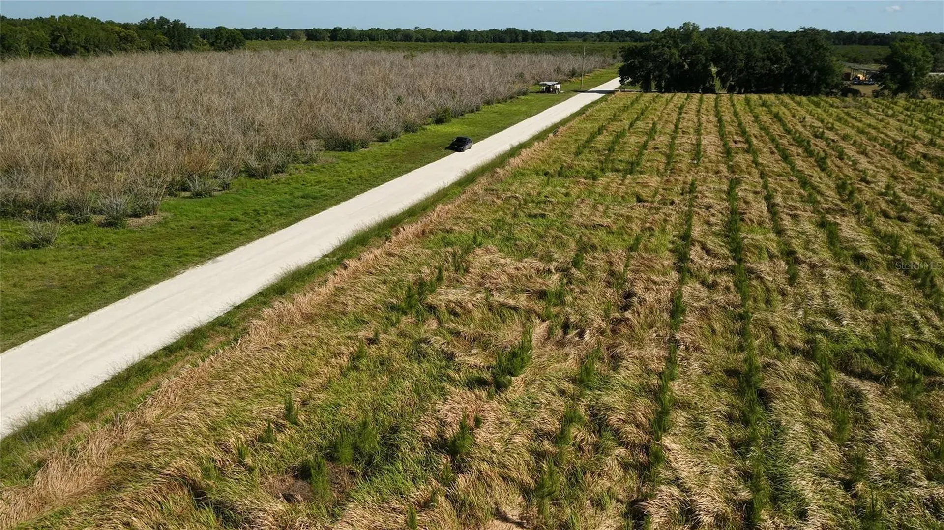 N Barlow Road Wauchula FL 33873