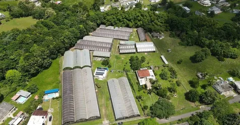 Carr. 137 Km 9.9 Bo. Franques Morovis PR 00687