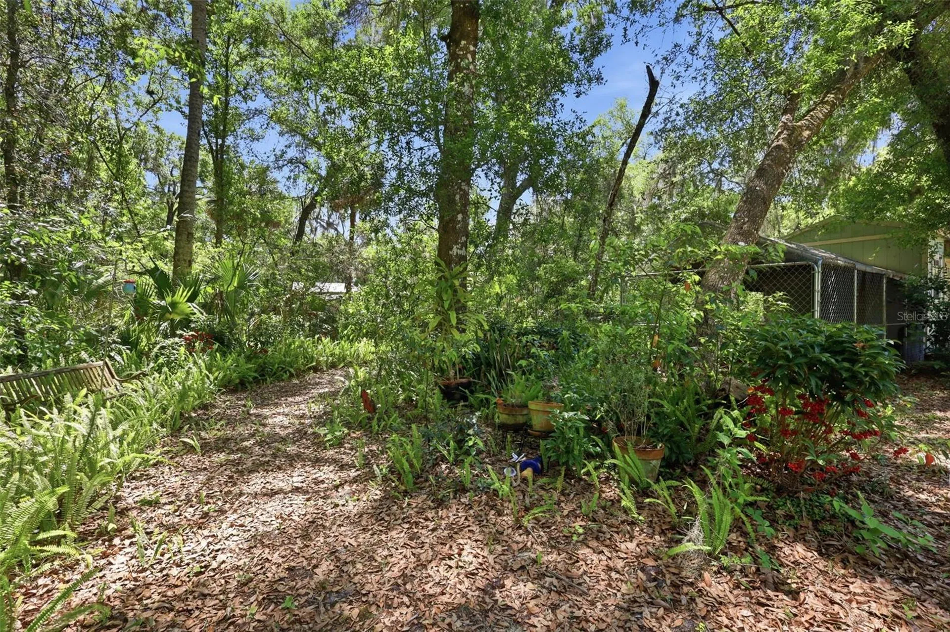 1925 Pine Court Deland FL 32720