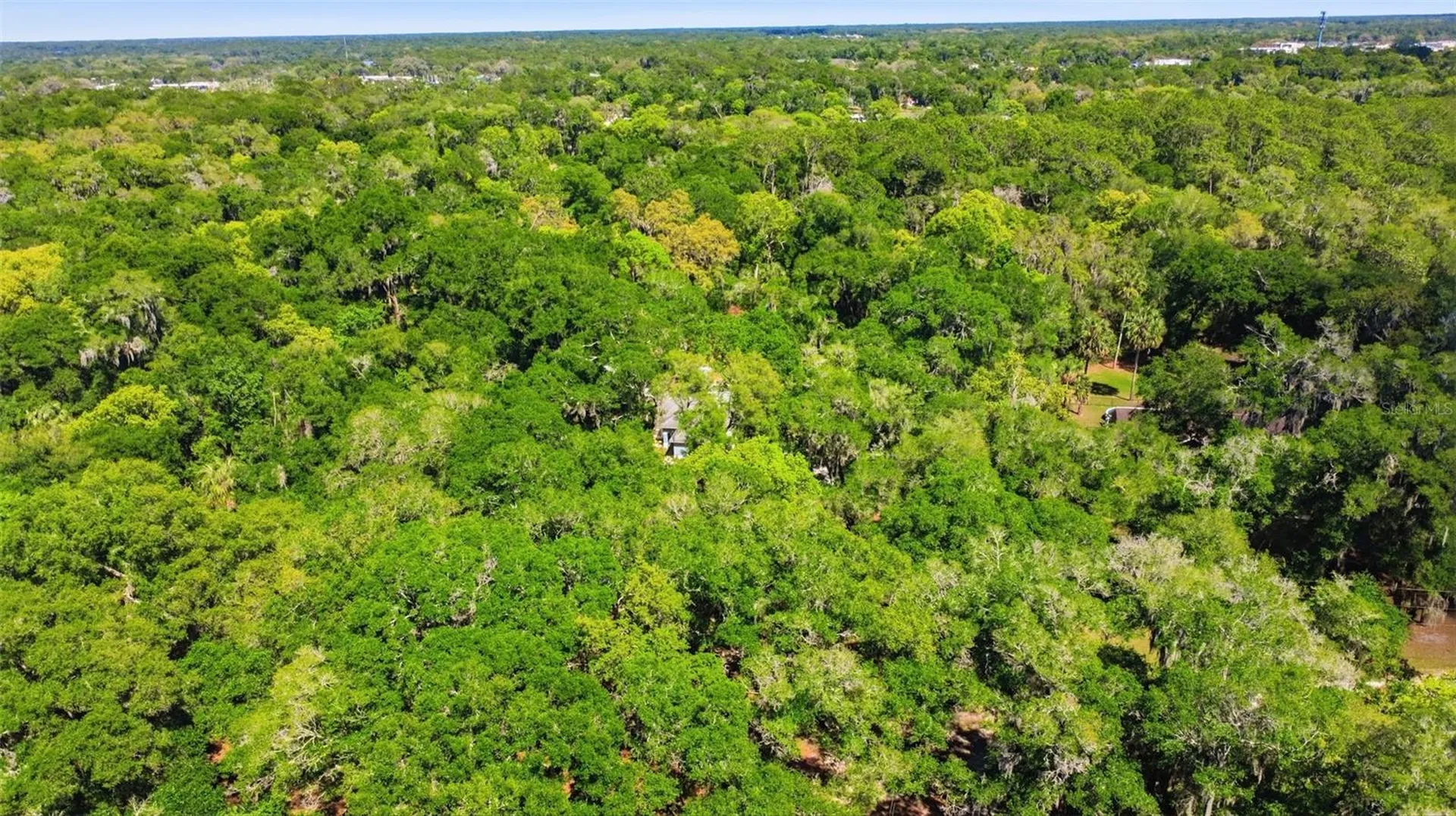 1925 Pine Court Deland FL 32720