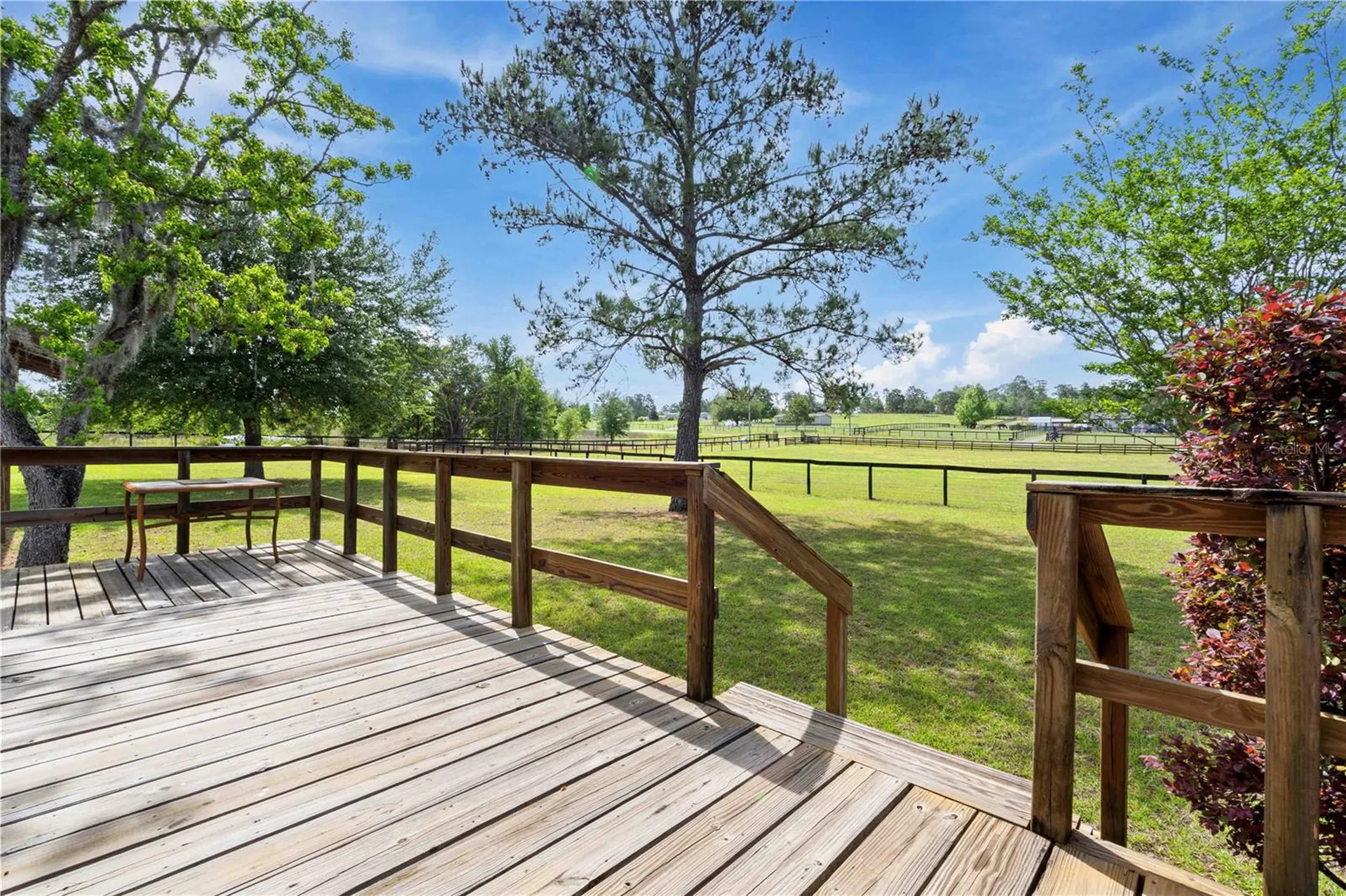 14491 SE 68th Lane Morriston FL 32668