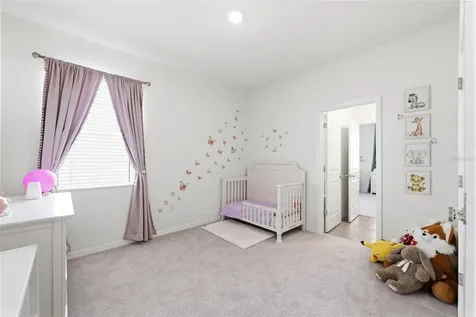 3787 Autumn Amber Drive Spring Hill FL 34609