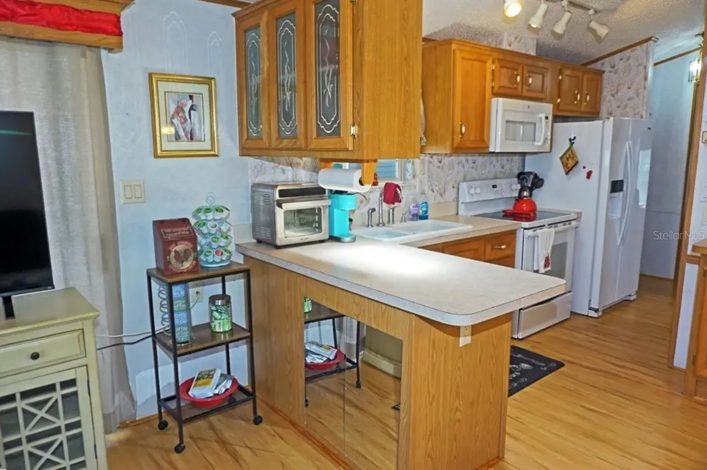 21145 Lazy Days Circle Lutz FL 33558