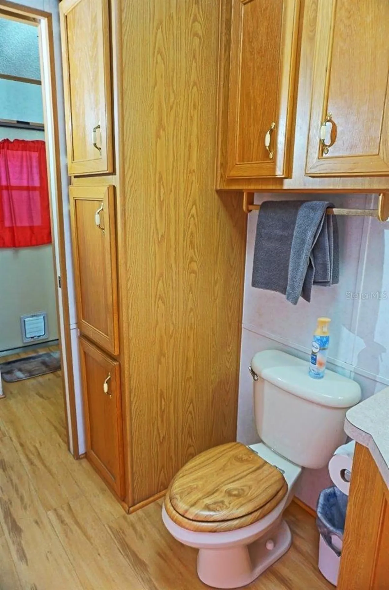 21145 Lazy Days Circle Lutz FL 33558