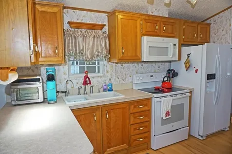 21145 Lazy Days Circle Lutz FL 33558