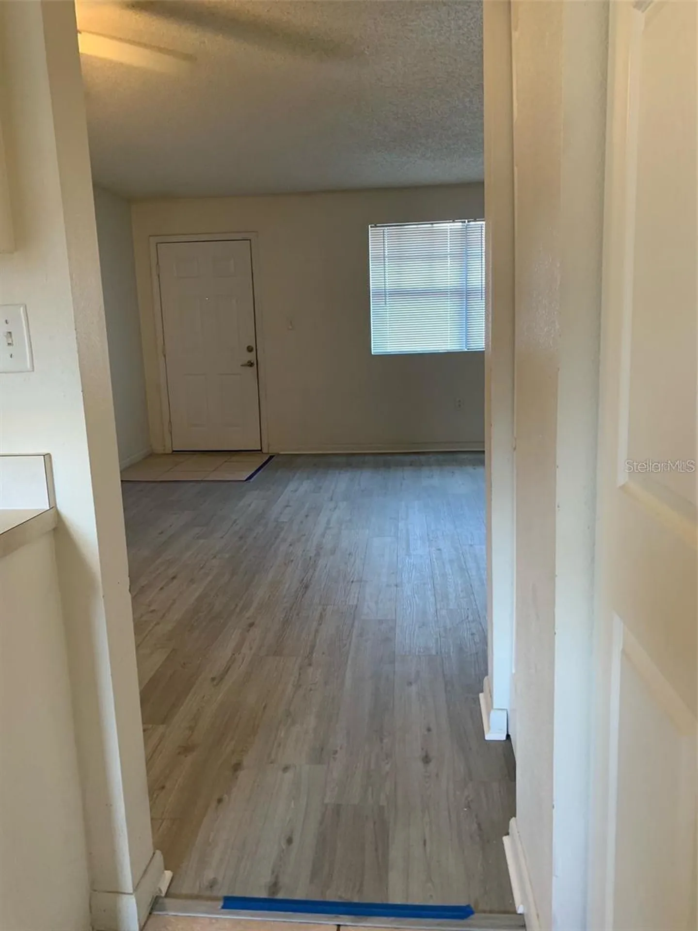 12403 Hibiscus Oak Place Tampa FL 33612