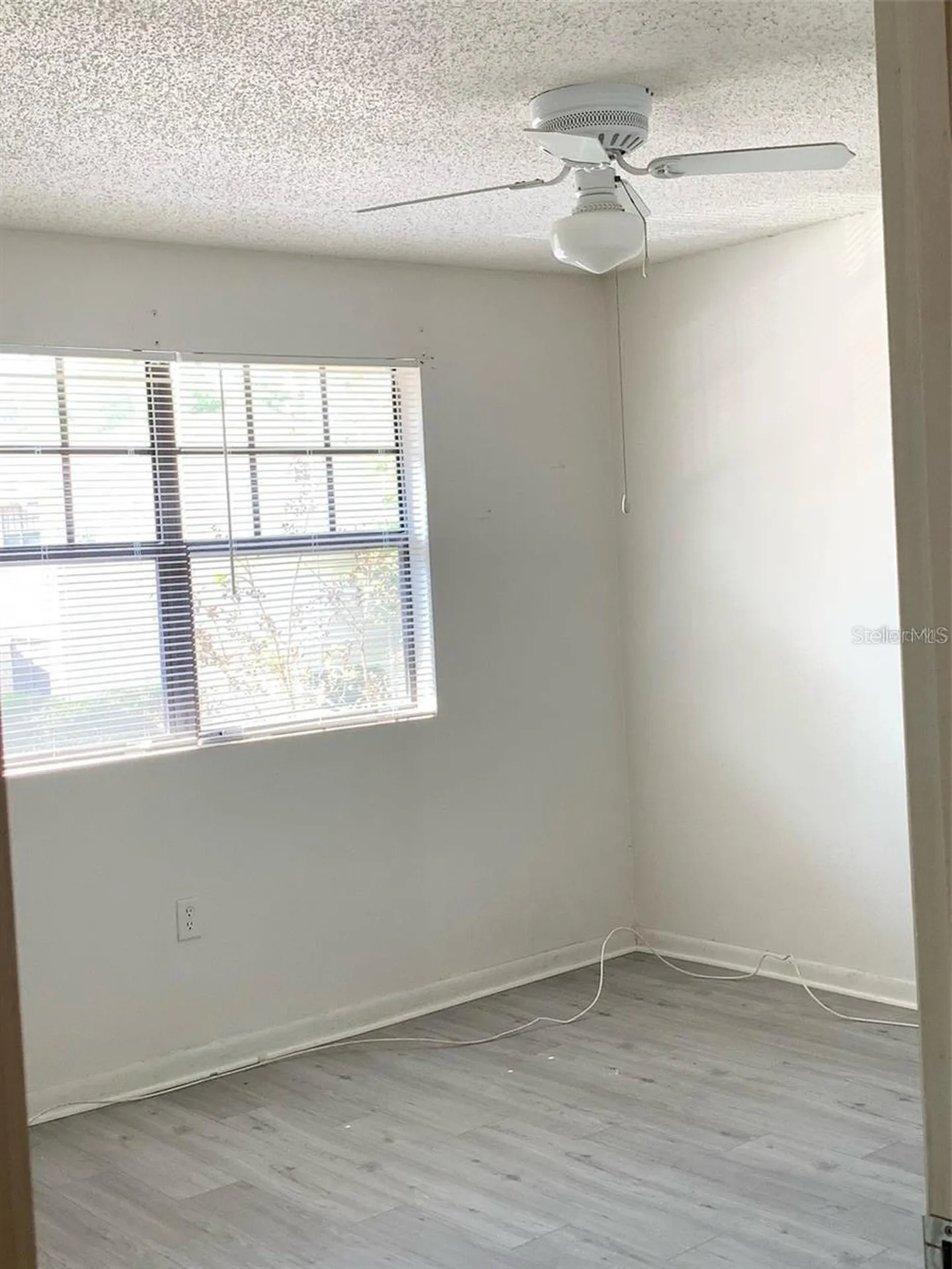 12403 Hibiscus Oak Place Tampa FL 33612