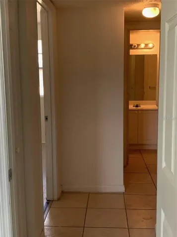12403 Hibiscus Oak Place Tampa FL 33612