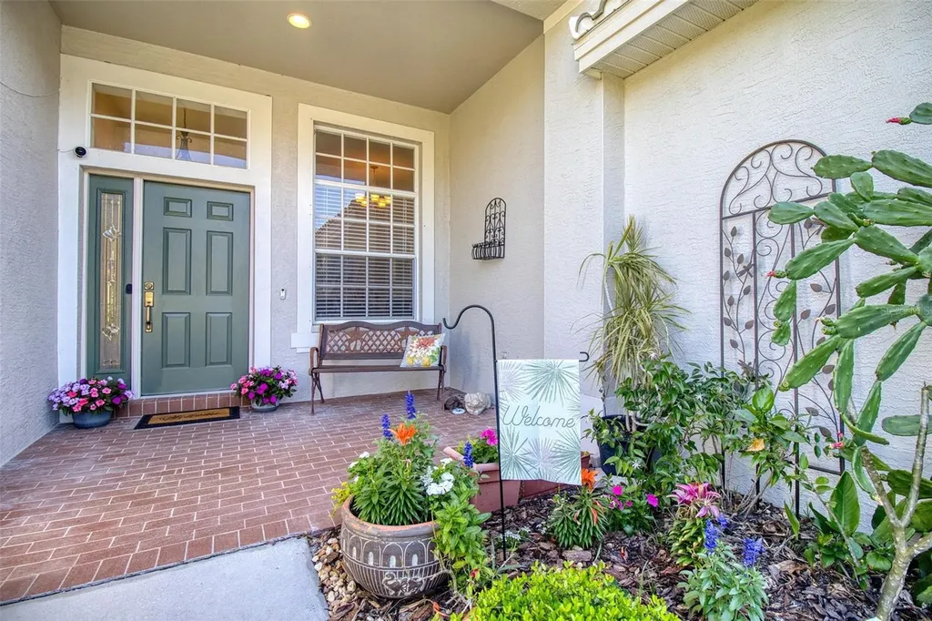 2206 Highland Woods Drive Dunedin FL 34698