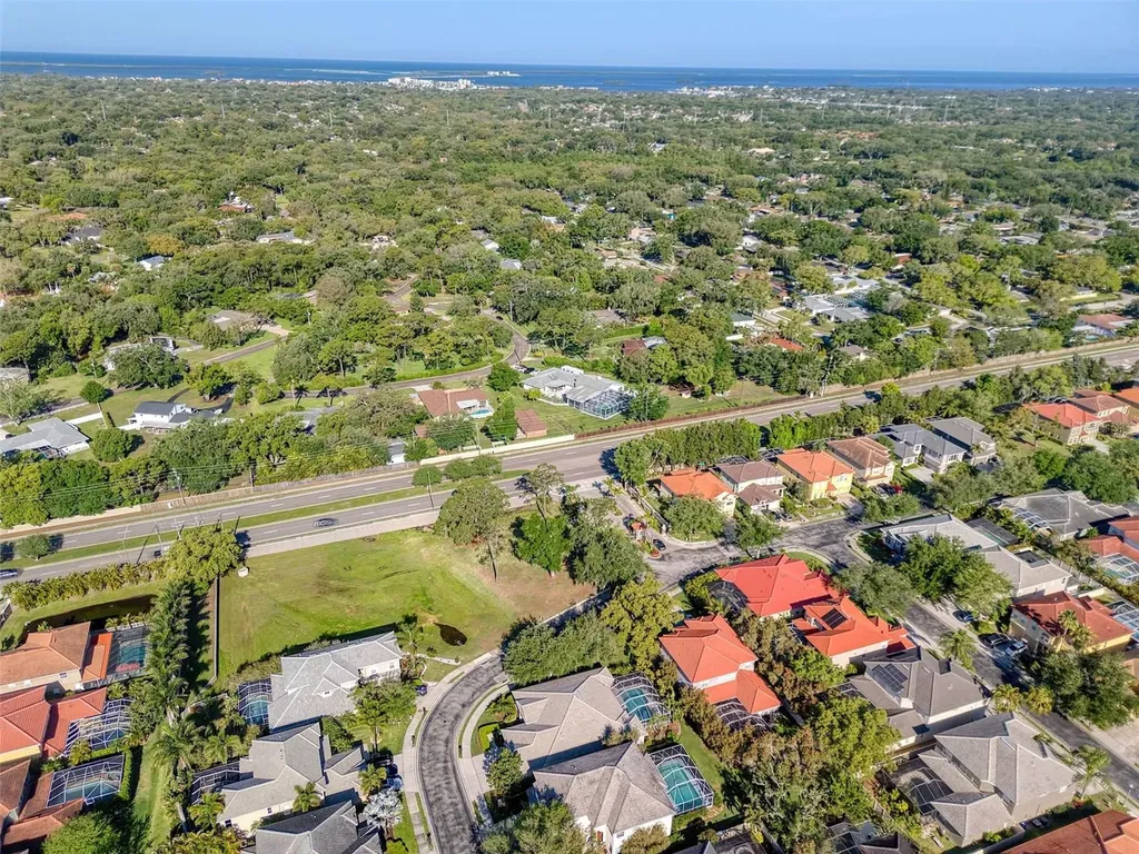 2206 Highland Woods Drive Dunedin FL 34698