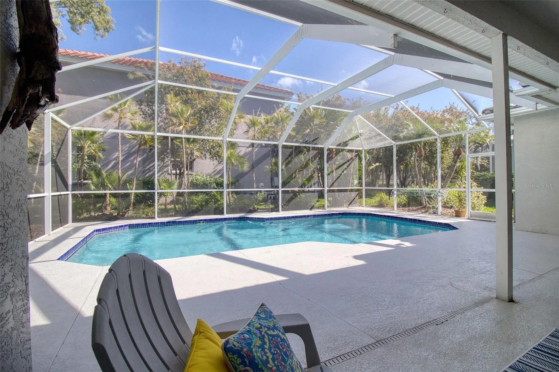2206 Highland Woods Drive Dunedin FL 34698