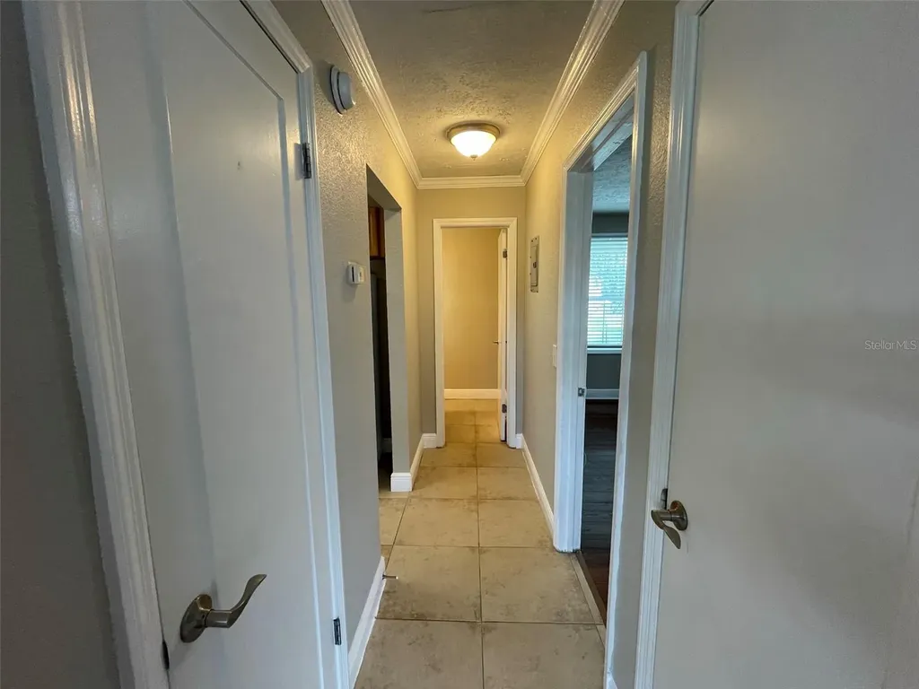 13686 Orange Sunset Drive Tampa FL 33618