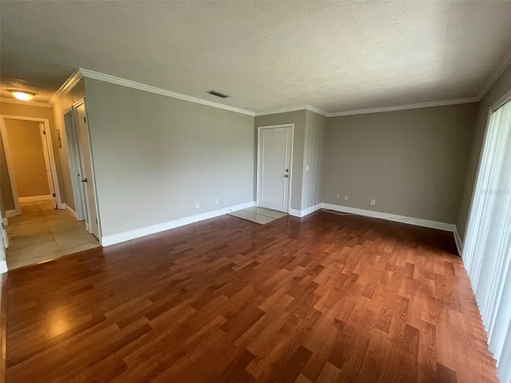 13686 Orange Sunset Drive Tampa FL 33618