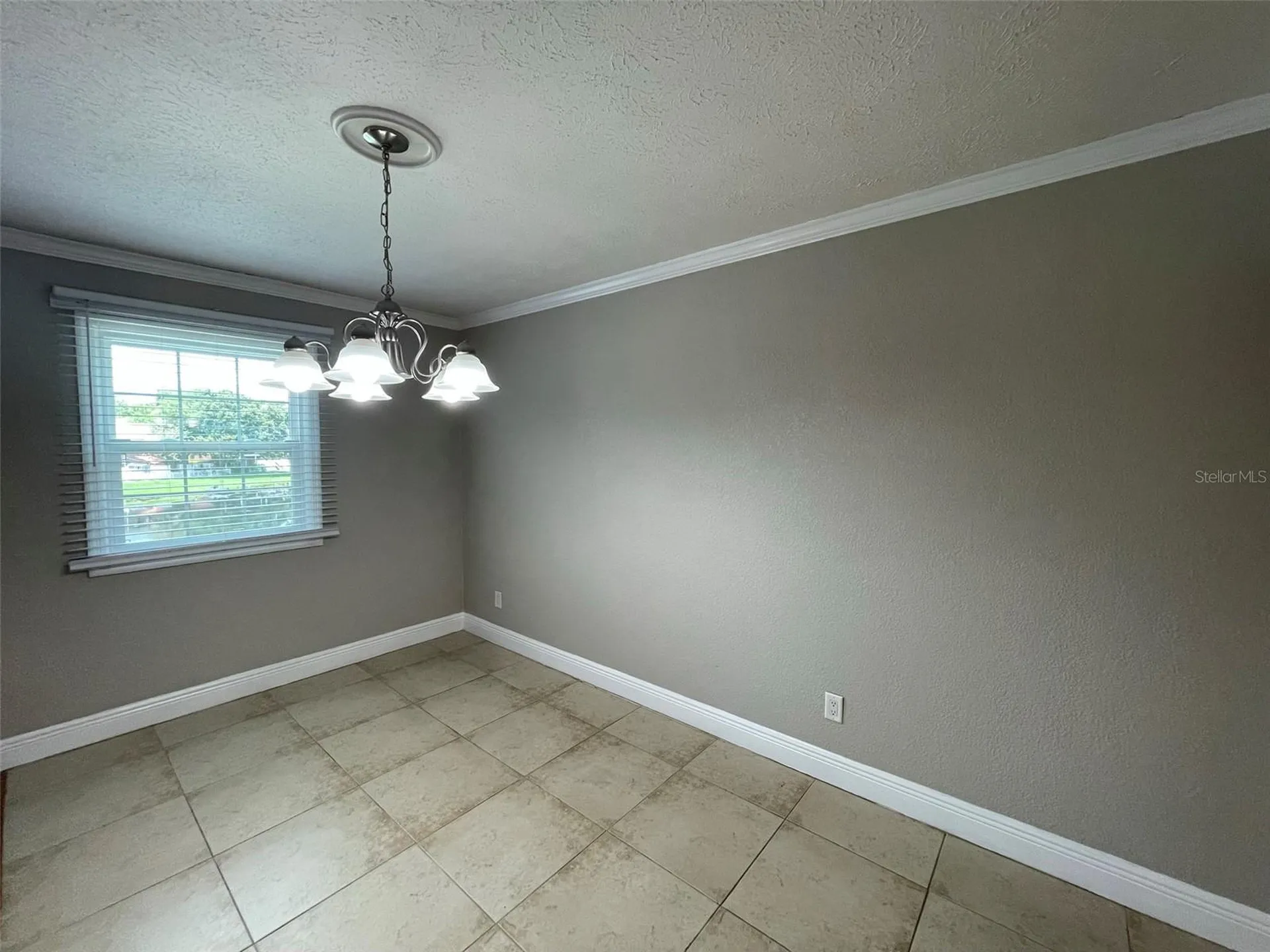 13686 Orange Sunset Drive Tampa FL 33618