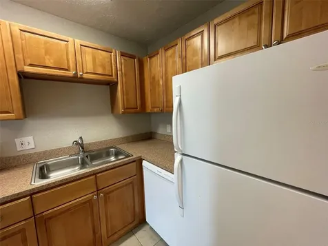 13686 Orange Sunset Drive Tampa FL 33618