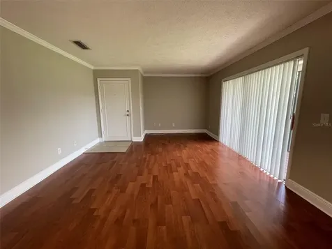 13686 Orange Sunset Drive Tampa FL 33618
