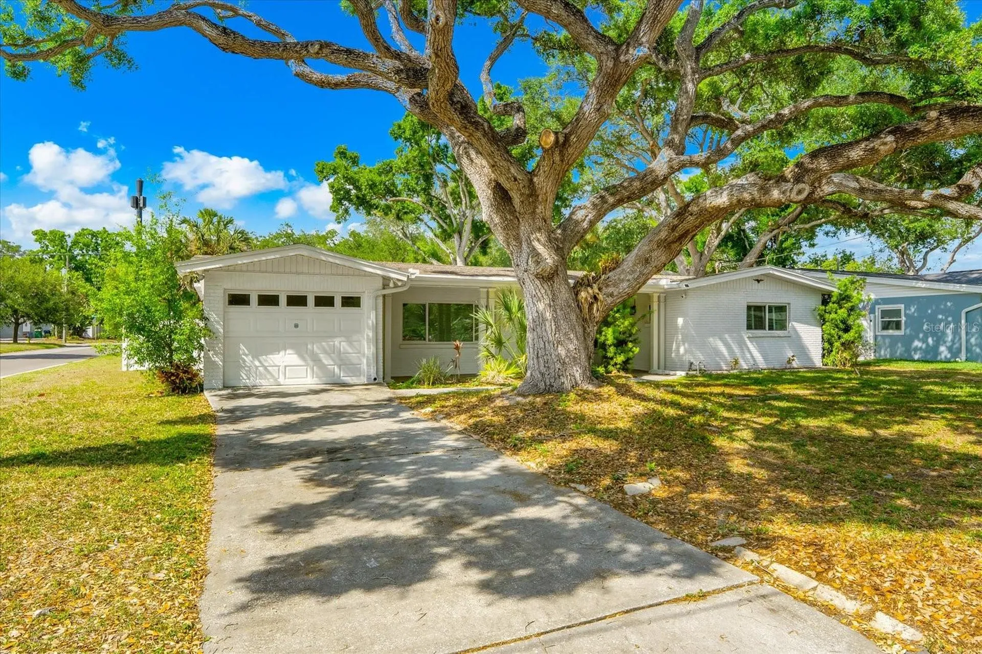 3315 W Beaumont Street Tampa FL 33611