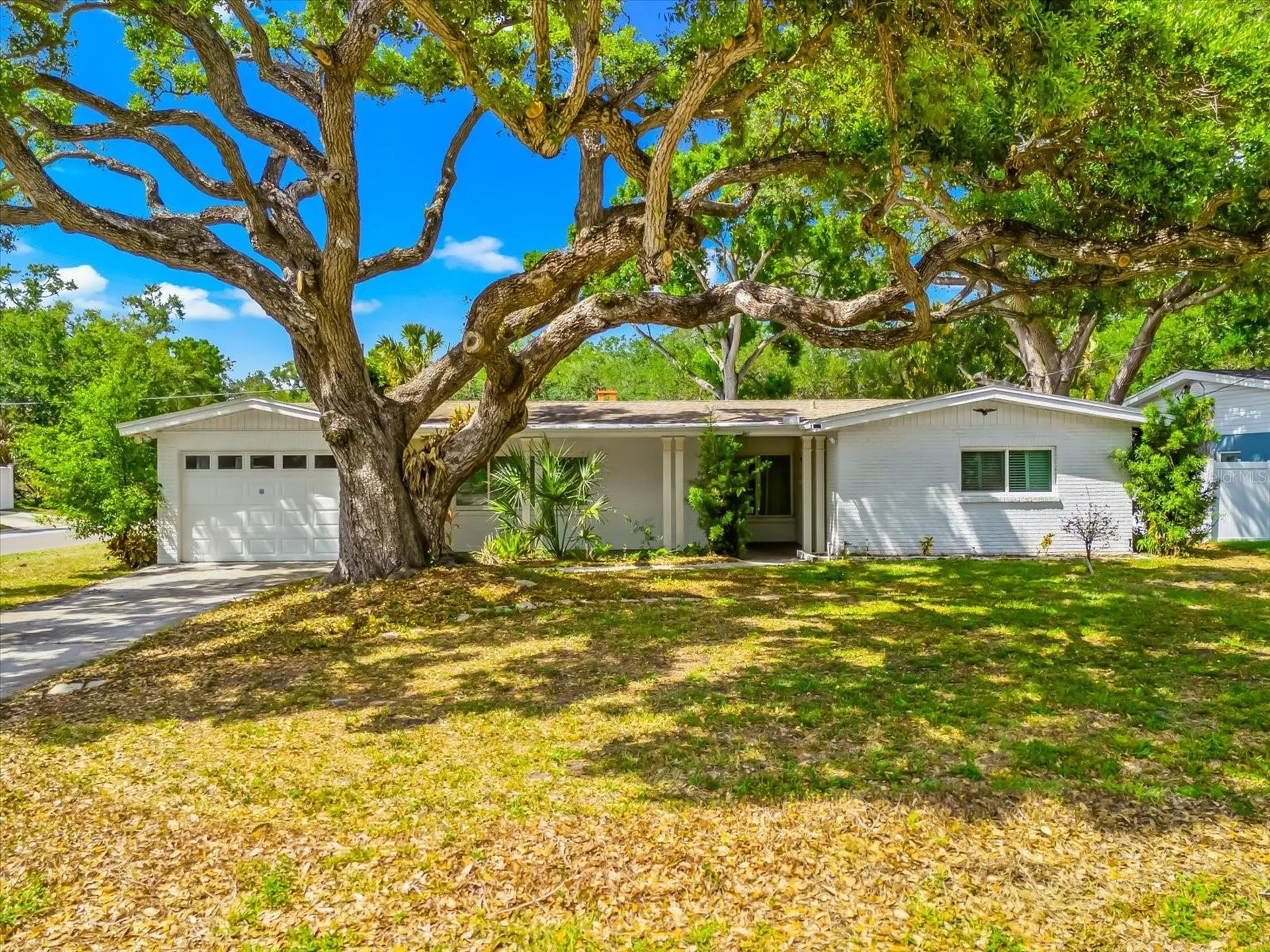 3315 W Beaumont Street Tampa FL 33611
