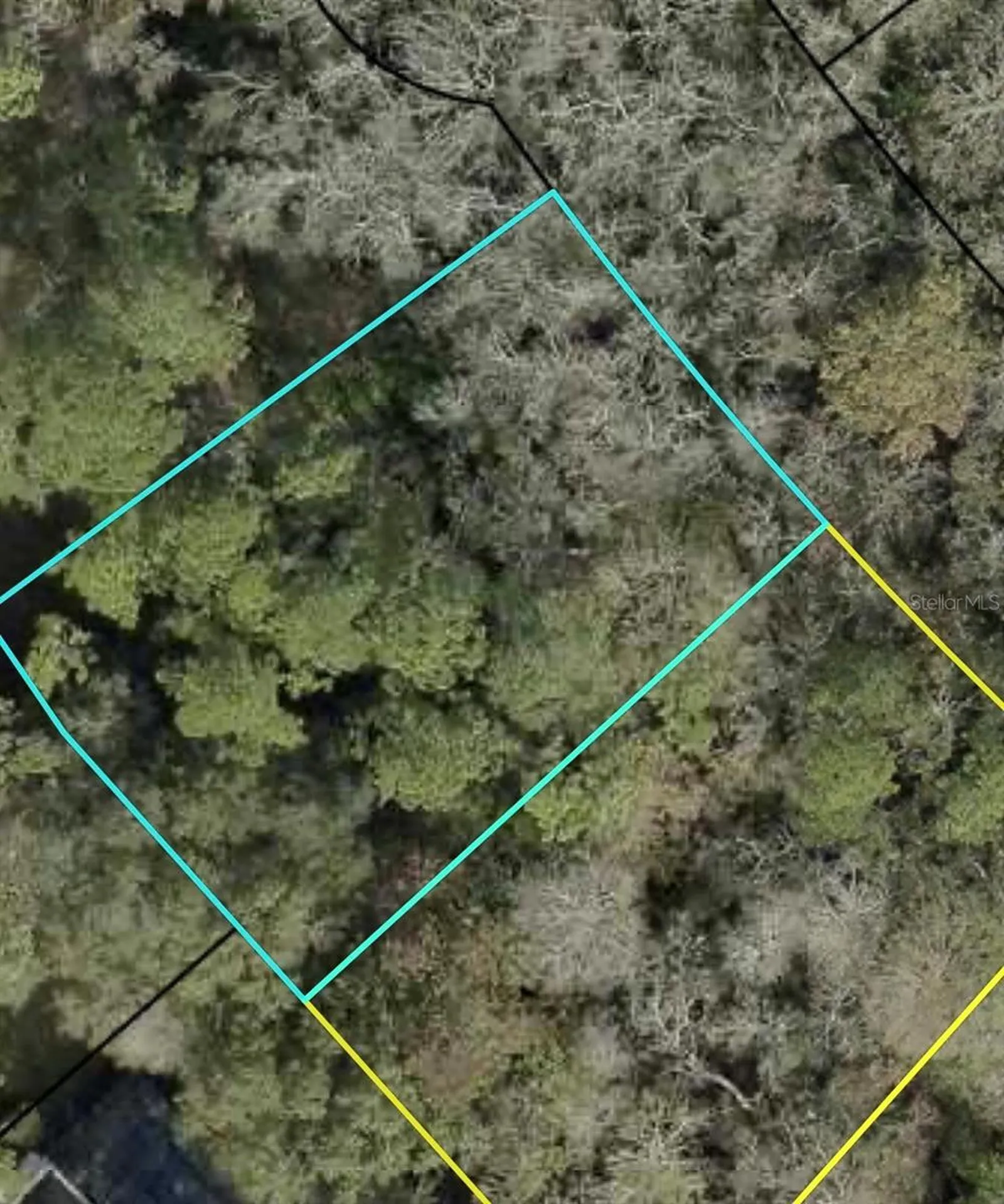 Xxx Z Section Drop Lot Palm Coast FL 32164