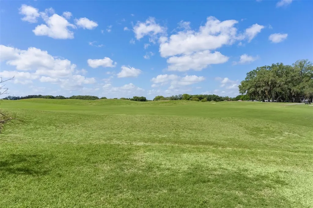 17600 SE 117th Circle Summerfield FL 34491
