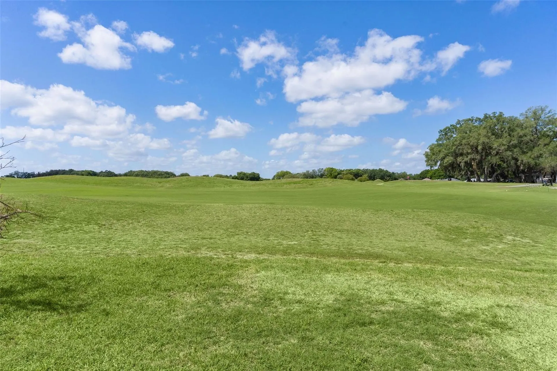 17600 SE 117th Circle Summerfield FL 34491
