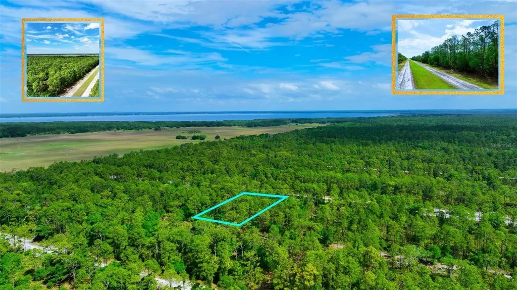 Tbd Lot 20 Japonica Avenue Indian Lake Estates FL 33855