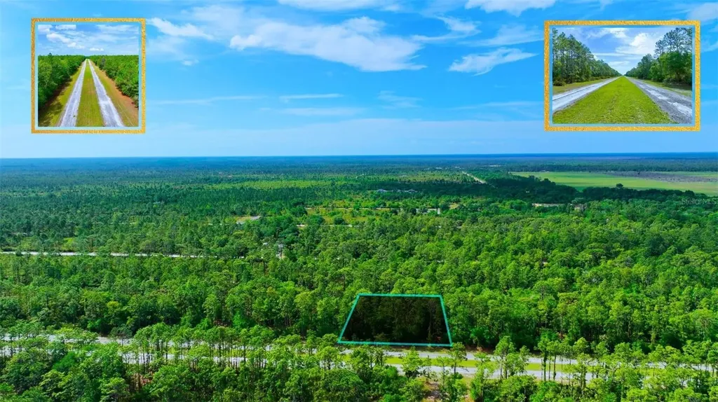 Tbd Lot 20 Japonica Avenue Indian Lake Estates FL 33855