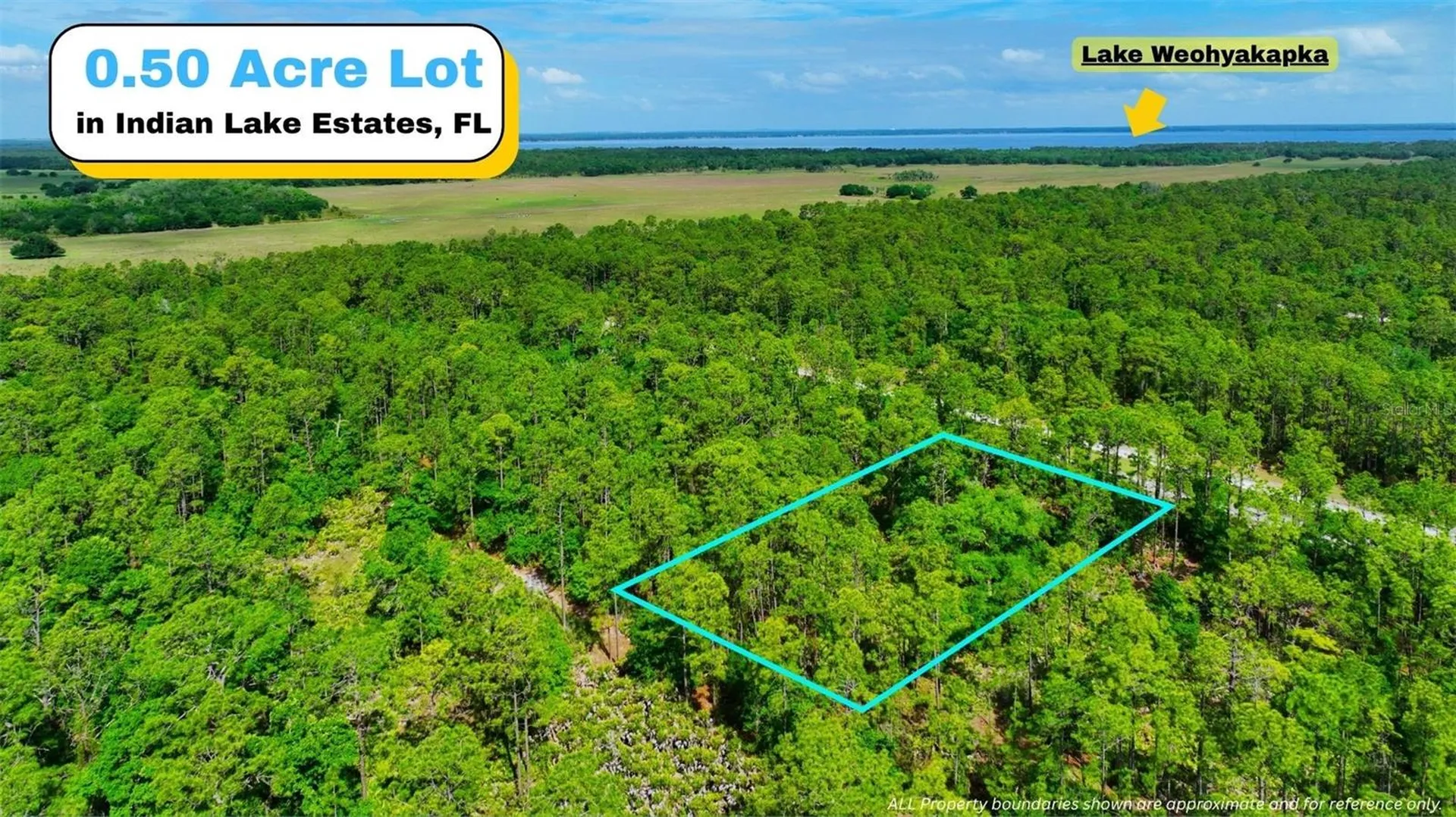 Tbd Lot 20 Japonica Avenue Indian Lake Estates FL 33855