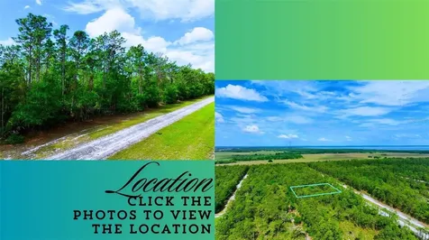 Tbd Lot 20 Japonica Avenue Indian Lake Estates FL 33855