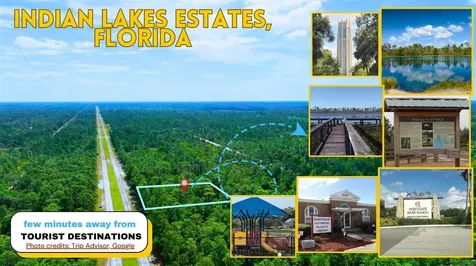 Tbd Lot 20 Japonica Avenue Indian Lake Estates FL 33855
