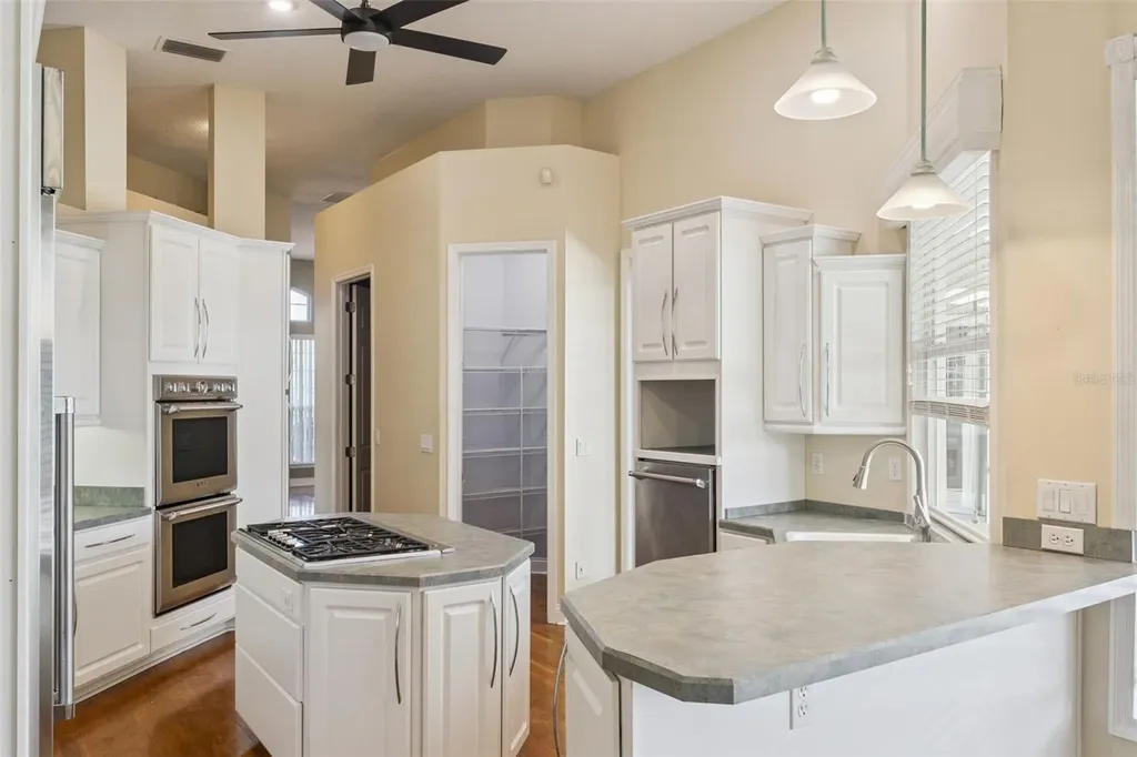 17540 Vista Belle Court Montverde FL 34756