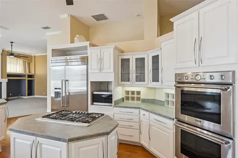 17540 Vista Belle Court Montverde FL 34756