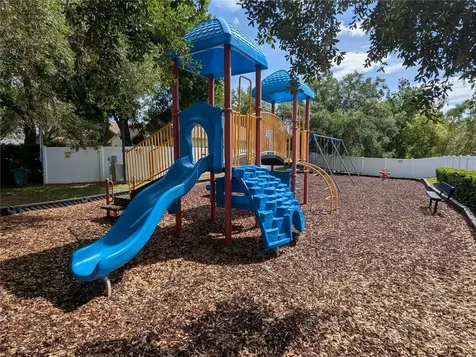 1415 Saddle Gold Court Brandon FL 33511