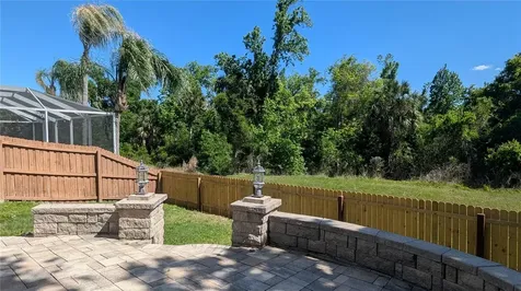 1415 Saddle Gold Court Brandon FL 33511