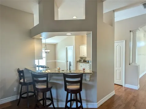 1415 Saddle Gold Court Brandon FL 33511