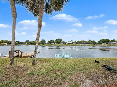9127 Lingrove Road Weeki Wachee FL 34613